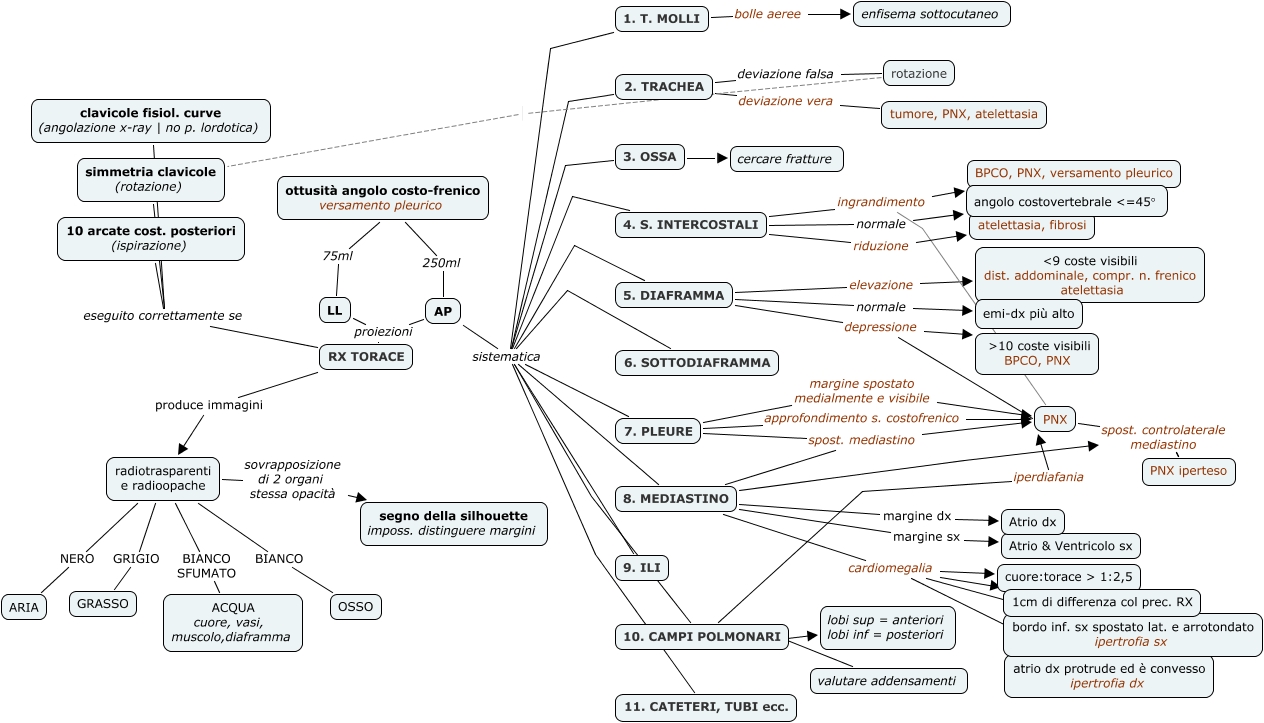 RX TORACE Mappa Concettuale